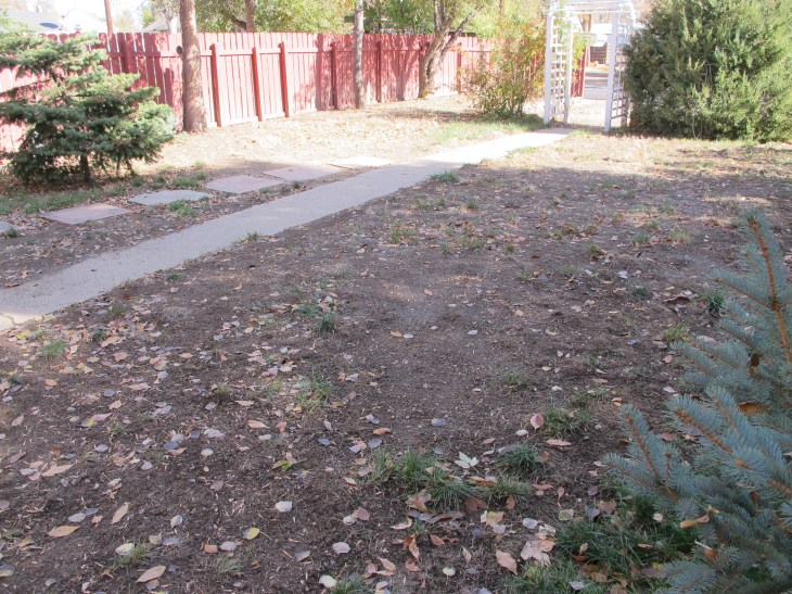 Front Yard, Autumn 2012