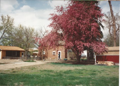 111 Roosevelt Ave - Schnaufer 2