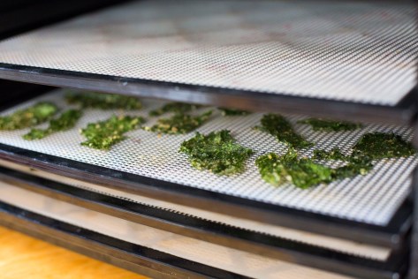 20150604 BrakeManor food and flowers-7