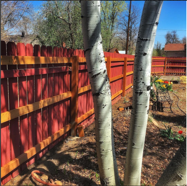 Screen Shot 2017-07-05 at 11.06.40 AM